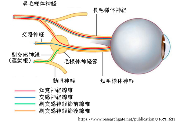 図 補３